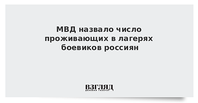 МВД подсчитало, сколько россиян находится в лагерях боевиков