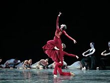 От неоклассики до contemporary. Воронежцам показали современный балет