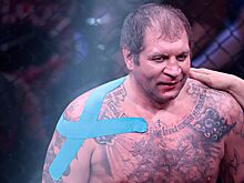 Александру Емельяненко присвоено звание заслуженного работника физкультуры Ингушетии