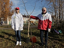 Нефтяники дали старт реконструкции центрального парка в Полазне