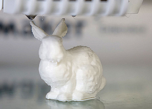Учёные создали 3D-модель кролика с ДНК-инструкцией на случай апокалипсиса