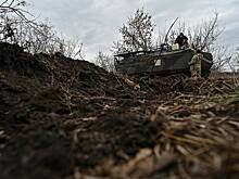 В Нидерландах заявили о готовности передать Украине БМП