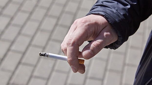 Сигары, трубки и сигареты одинаково опасны для здоровья