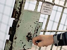 Адвокат обвиняемого в мошенничестве Реваза Шмерца рассказал, что к его клиенту не пустили консула Израиля