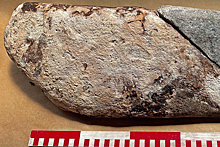 Археологи нашли древние каменные стелы в Туве