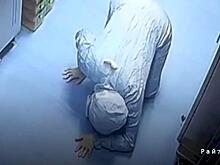 Хитрая мышь избегала поимки, спрятавшись на спине у лаборантки: видео