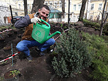 Молодежная палата Московского проведет акцию «Озелени свой двор»