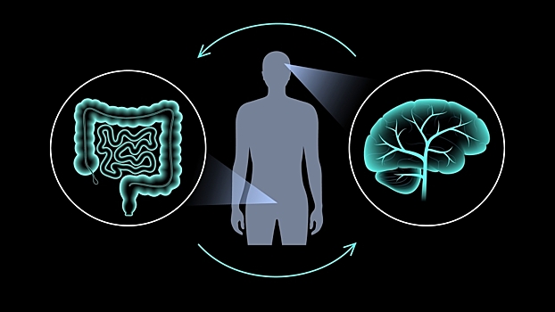 Подтверждена связь между кишечной микробиотой и депрессией