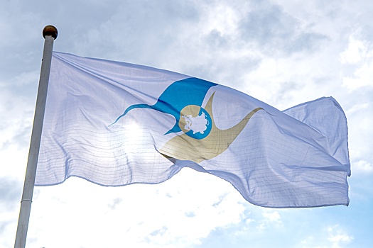 Что ожидают эксперты от заседания Высшего Евразийского экономического совета