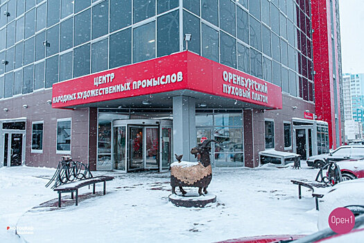 Индустриальный парк «Оренбургский пуховый платок» продают за 386 млн рублей