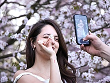 В Москве на месяц раньше зацвела черемуха