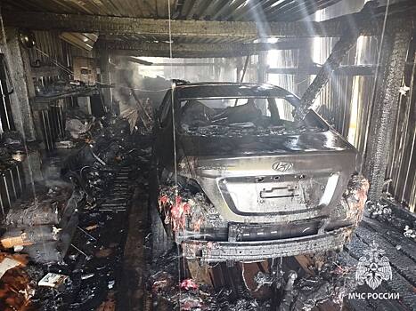 Зарядное устройство спалило хозяйство жителя Удмуртии