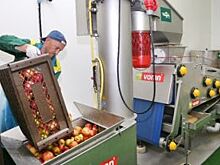 Калининградский кооператив начал поставки яблочного сока в Польшу