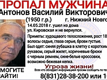 68-летний Василий Антонов пропал в Нижнем Новгороде