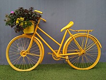 С марта в тверских электричках велосипеды можно перевозить бесплатно