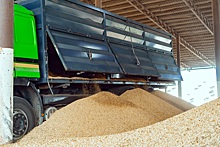 Минсельхоз создаст в России систему прослеживаемости зерна