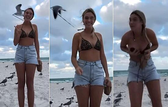 Чайка чуть не лишила купальника зазевавшуюся девицу: видео