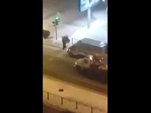 Петербургские воры в костюмах собак украли елки и попали на видео