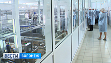 Воронежское молочное производство впечатлило работников сельского хозяйства из Европы и Азии