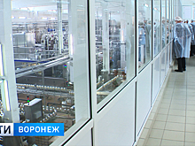 Воронежское молочное производство впечатлило работников сельского хозяйства из Европы и Азии
