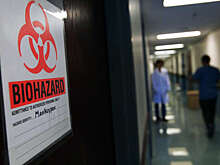 Ученые разошлись во мнениях о том, стоит ли объявлять пандемию оспы обезьян