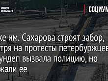 В парке им. Сахарова строят забор, несмотря на протесты петербуржцев. Экс-мундеп вызвала полицию, но задержали ее
