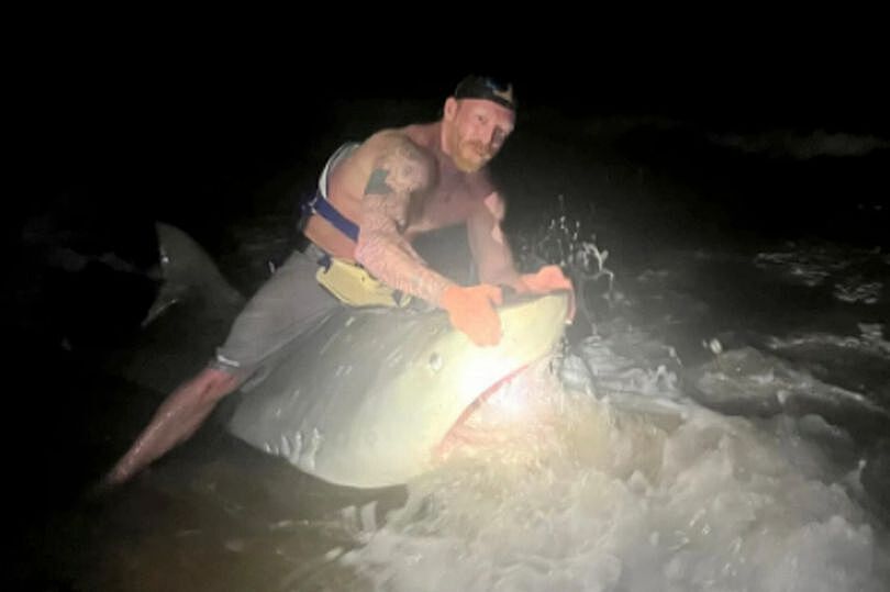 Мужчина поймал четырехметровую акулу на удочку
