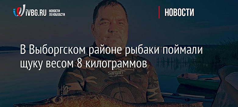 V regionu Vyborg chytili rybáři štiku o váze 8 kilogramů