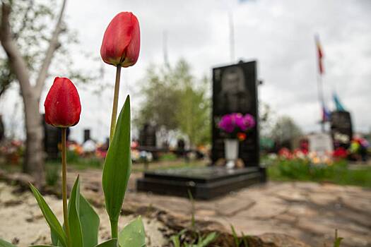 Вдова бойца СВО месяц не могла похоронить мужа из-за одного требования