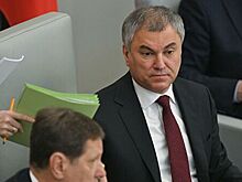 Володин заявил, что переписывание истории оскорбляет Россию