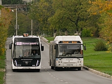 За год общественный транспорт в Волгограде перевез 93 миллиона человек