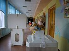 Известный политолог назвал процесс голосования по Конституции отрытым и прозрачным