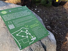 Новую экотропу открыли на месте выгоревшего леса в Геленджике