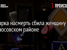 Иномарка насмерть сбила женщину в Ломоносовском районе