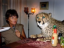 Юрист рассказал, куда жаловаться на необычных питомцев соседей