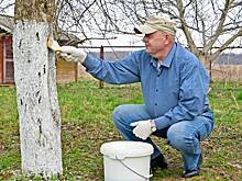Эксперт предупредил, что нужно успеть сделать на даче в конце марта