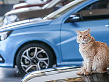 Названы автомобили, которые россияне покупали чаще всего