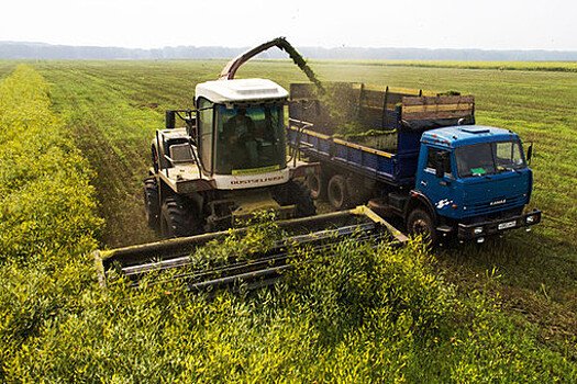 Россияне отметили работу властей по поддержке сельского хозяйства и строительной отрасли