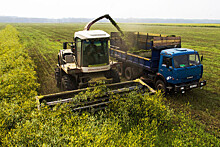 Правительство выделит более 1,4 млрд руб. на предприятия по переработке сельхозпродукции