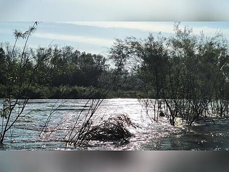 Забайкалье многократно усилило защиту от паводков