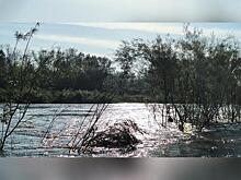 Забайкалье многократно усилило защиту от паводков