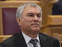 Володин назвал Украину колонией США