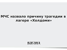 МЧС назвало причину трагедии в лагере «Холдоми»