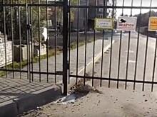 Парковку на улице 65 лет Победы вернули жильцам