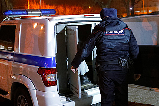 Погибший при пожаре в отделе полиции Реутова был задержан за избиение женщины