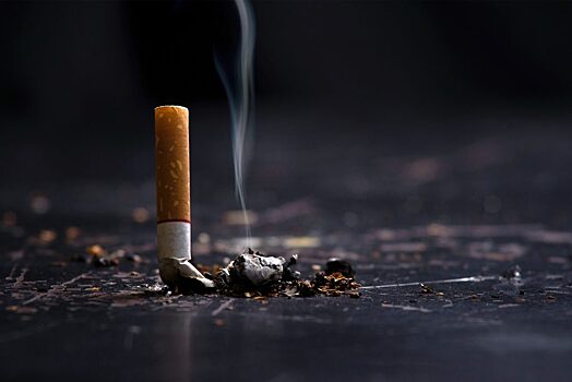 UPI: Информация о вреде курения для питомцев производит наибольшее впечатление на курильщиков