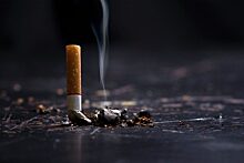 UPI: Информация о вреде курения для питомцев производит наибольшее впечатление на курильщиков