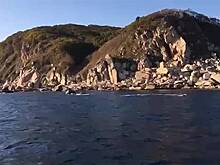 Стая косаток устроила шоу для российских рыбаков и попала на видео