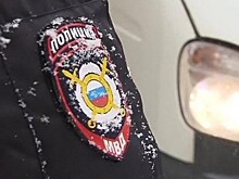 Полиция отпустила задержанных участников схода в Москве