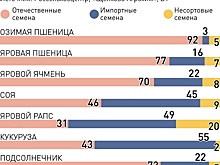 В России растет производство собственных семян